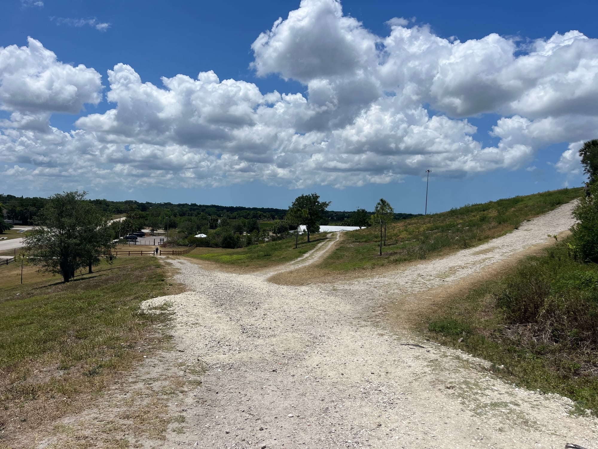 Trails near the entrance of the Sarasota Celery Fields