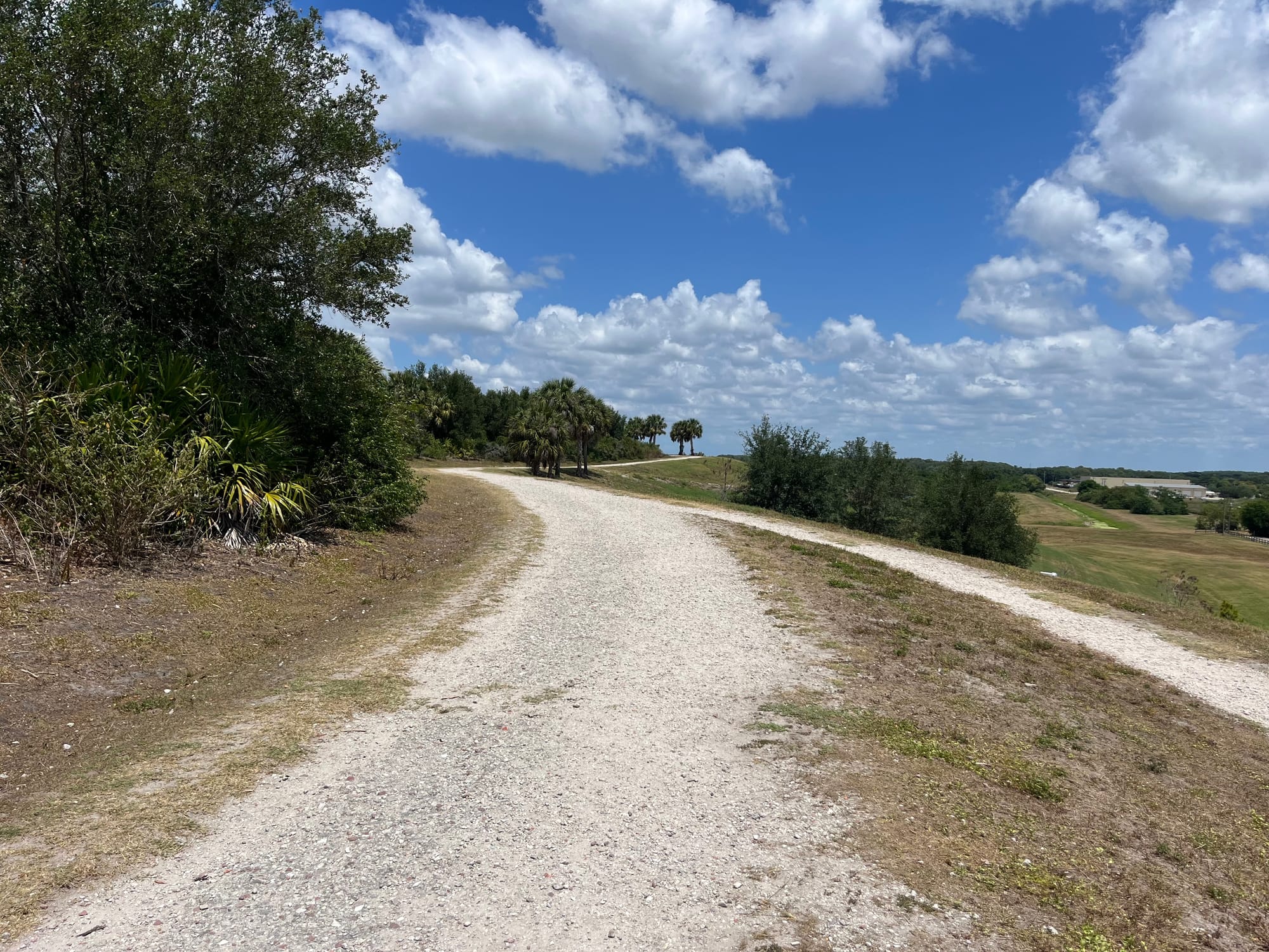 A gravel walking trail at the Sarasota Celery Fields
