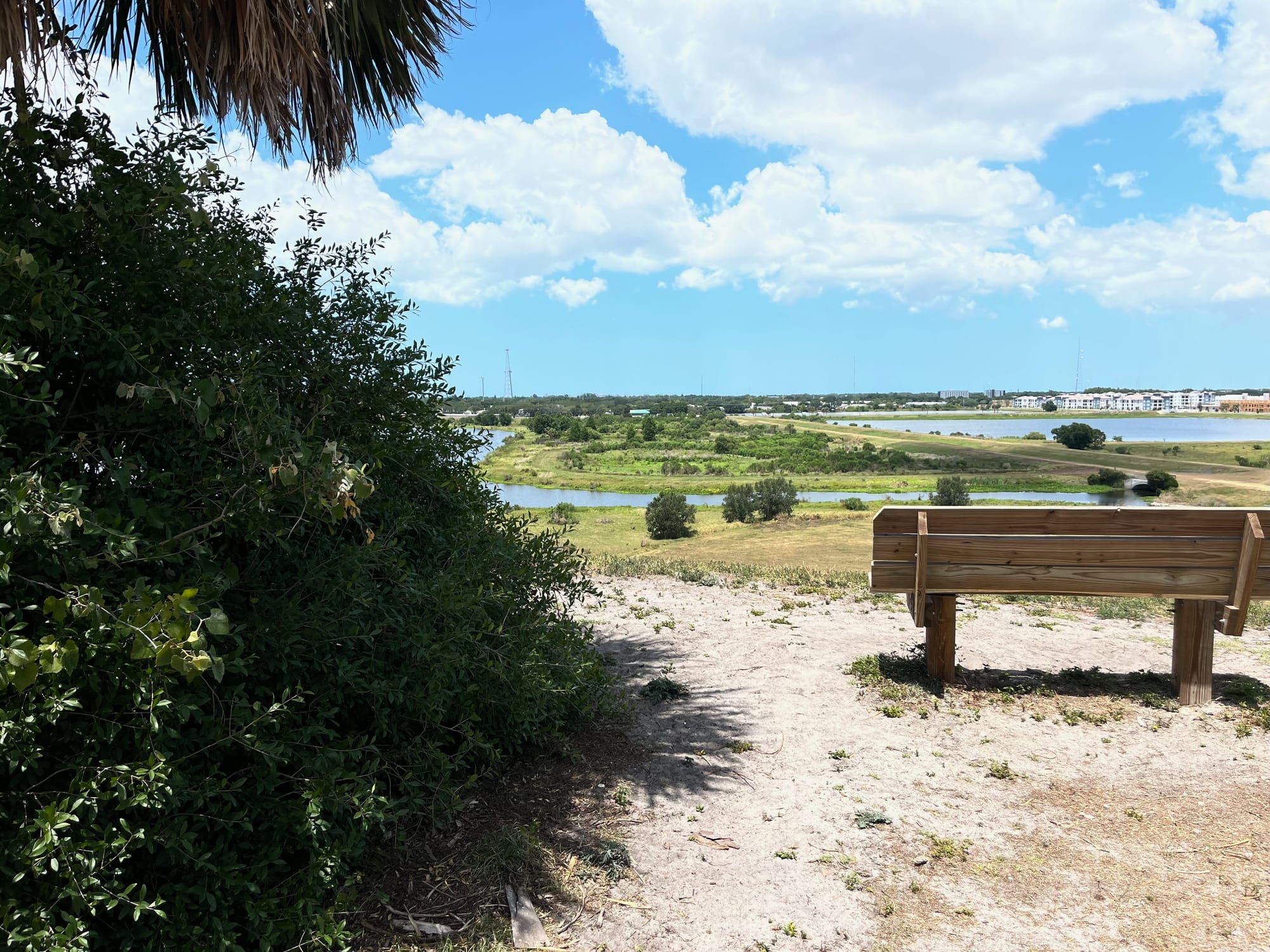 A bench at the Sarasota Celery Fields, overlooking a retention pond