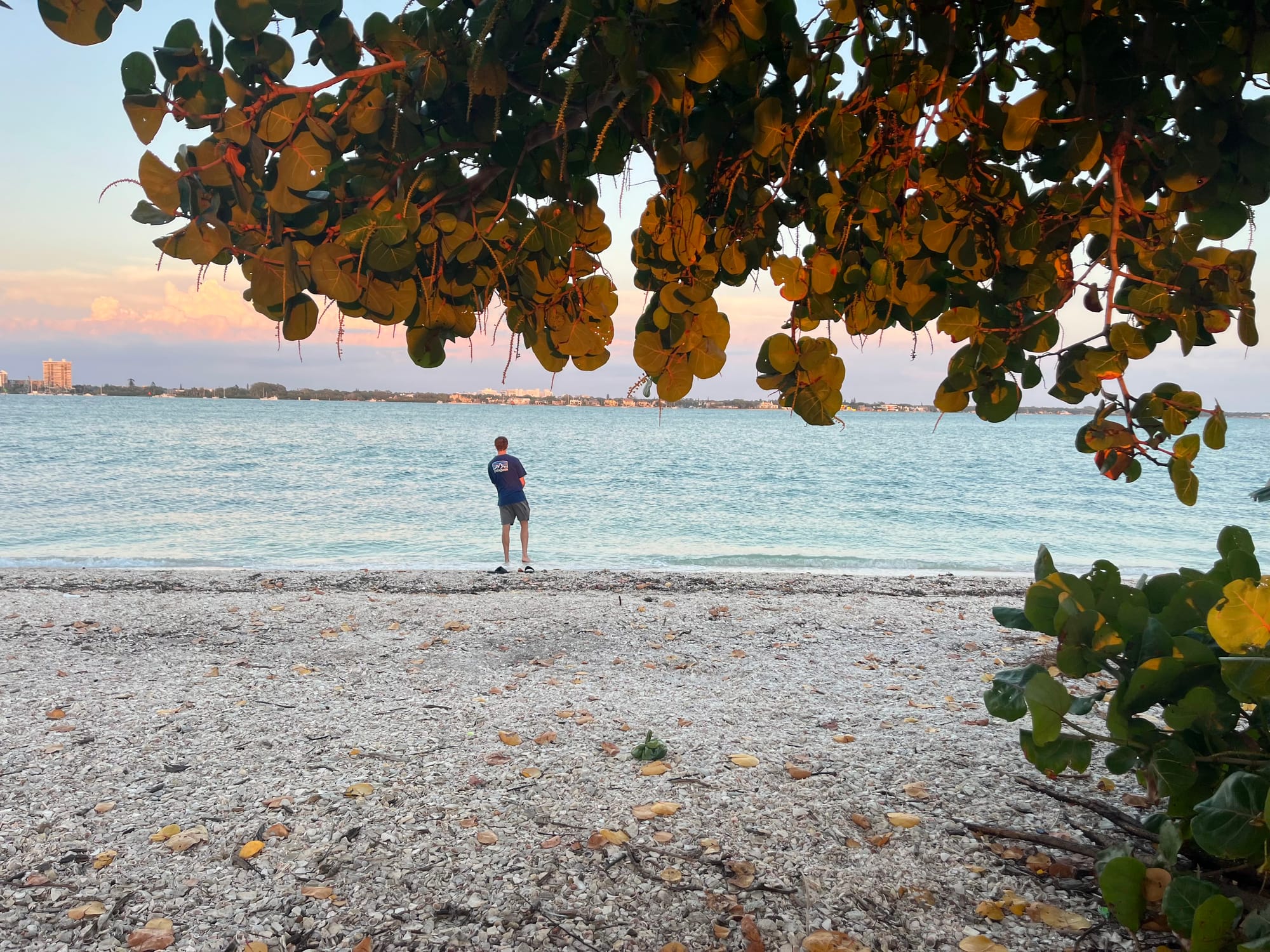 A man fishing on the beach in Lido Key, Florida